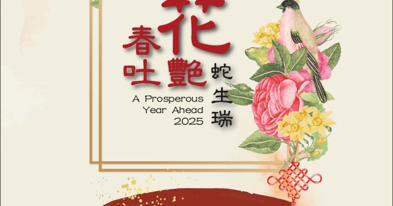 CHINESE NEW YEAR 2025